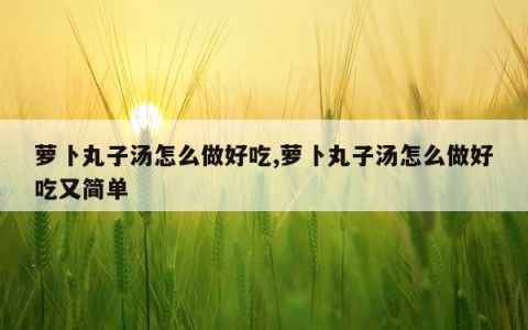 萝卜丸子汤怎么做好吃,萝卜丸子汤怎么做好吃又简单