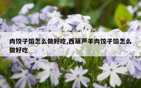 肉饺子馅怎么做好吃,西葫芦羊肉饺子馅怎么做好吃