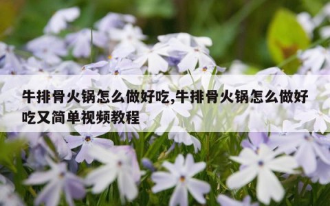 牛排骨火锅怎么做好吃,牛排骨火锅怎么做好吃又简单视频教程