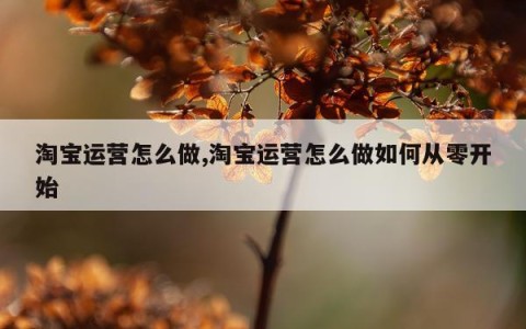 淘宝运营怎么做,淘宝运营怎么做如何从零开始
