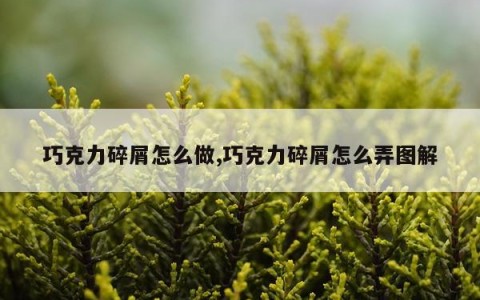 巧克力碎屑怎么做,巧克力碎屑怎么弄图解