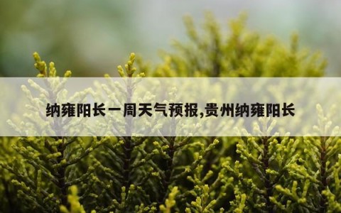 纳雍阳长一周天气预报,贵州纳雍阳长
