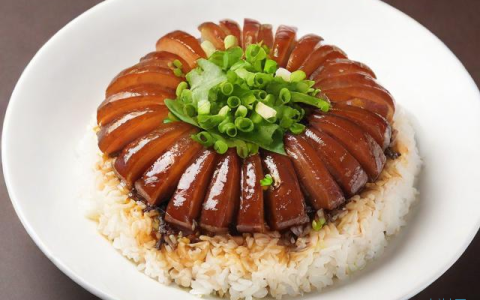 菜饭怎么做,咸肉菜饭怎么做
