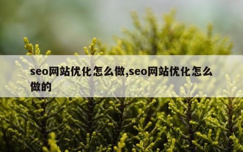 seo网站优化怎么做,seo网站优化怎么做的