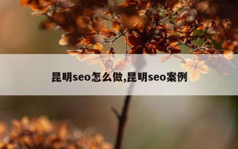 昆明seo怎么做,昆明seo案例