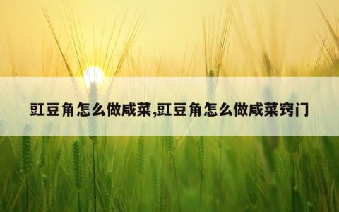 豇豆角怎么做咸菜,豇豆角怎么做咸菜窍门