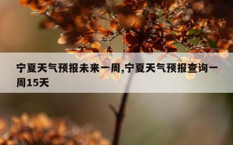 宁夏天气预报未来一周,宁夏天气预报查询一周15天