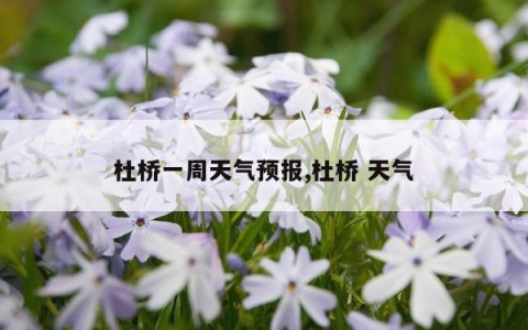 杜桥一周天气预报,杜桥 天气