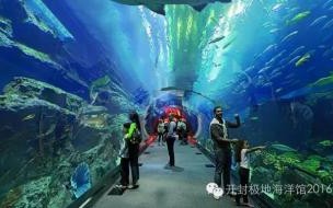 去郑州海洋馆最合适的时间 郑州海洋馆门票多少钱