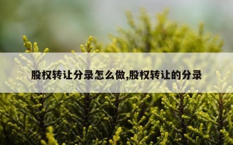 股权转让分录怎么做,股权转让的分录