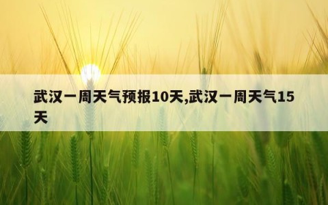 武汉一周天气预报10天,武汉一周天气15天