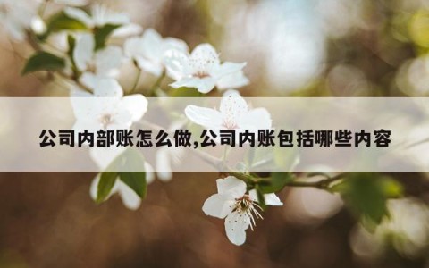 公司内部账怎么做,公司内账包括哪些内容
