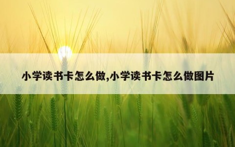 小学读书卡怎么做,小学读书卡怎么做图片