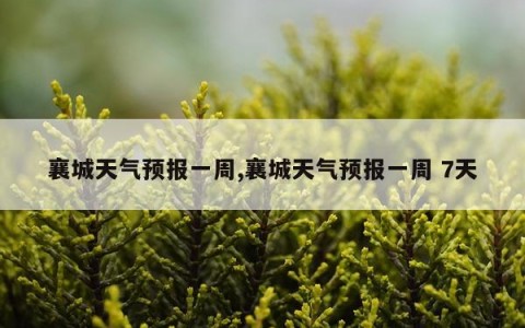 襄城天气预报一周,襄城天气预报一周 7天