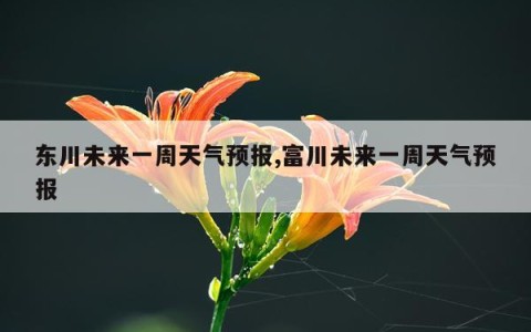 东川未来一周天气预报,富川未来一周天气预报