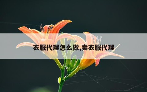 衣服代理怎么做,卖衣服代理