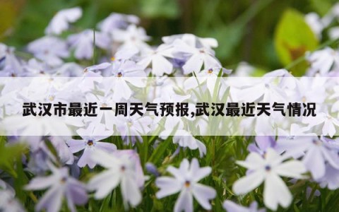 武汉市最近一周天气预报,武汉最近天气情况