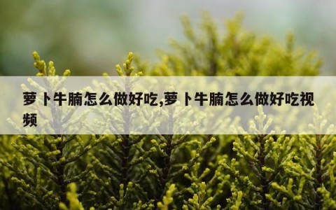 萝卜牛腩怎么做好吃,萝卜牛腩怎么做好吃视频