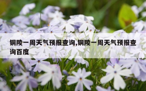 铜陵一周天气预报查询,铜陵一周天气预报查询百度