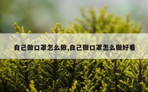 自己做口罩怎么做,自己做口罩怎么做好看