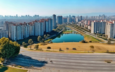 高中地理必修二总结知识点，人口增长趋势及地区差异解析