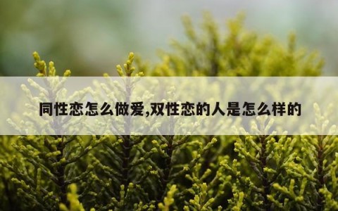 同性恋怎么做爱,双性恋的人是怎么样的