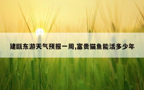 建瓯东游天气预报一周,富贵猫鱼能活多少年