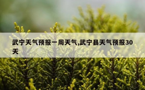 武宁天气预报一周天气,武宁县天气预报30天
