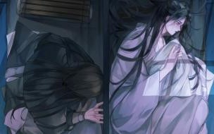 二哈和他的白猫师尊全文概述 二哈和他的白猫师尊补肉
