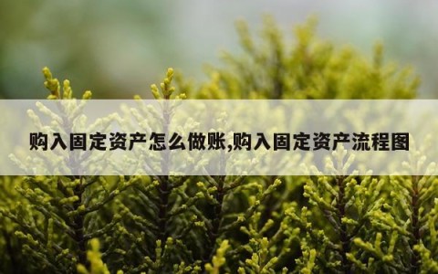 购入固定资产怎么做账,购入固定资产流程图