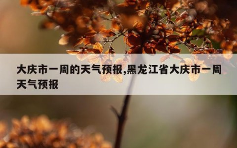 大庆市一周的天气预报,黑龙江省大庆市一周天气预报