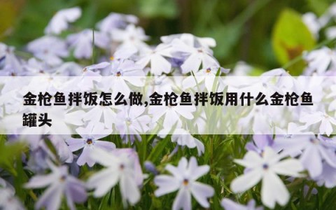 金枪鱼拌饭怎么做,金枪鱼拌饭用什么金枪鱼罐头