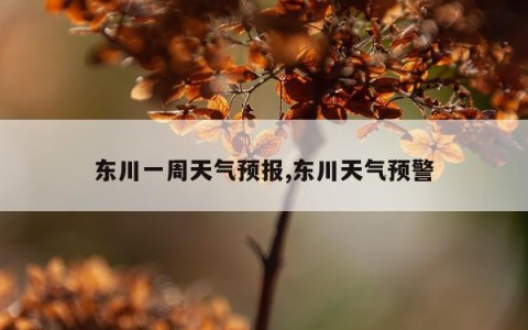 东川一周天气预报,东川天气预警