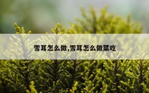 雪耳怎么做,雪耳怎么做菜吃