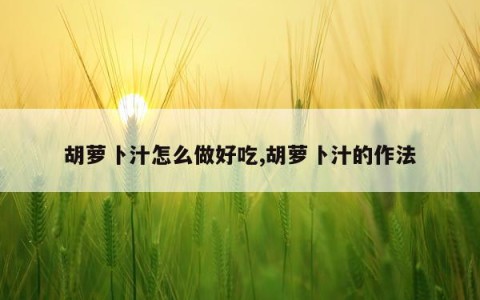 胡萝卜汁怎么做好吃,胡萝卜汁的作法
