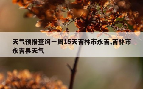 天气预报查询一周15天吉林市永吉,吉林市永吉县天气