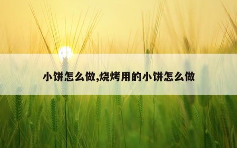 小饼怎么做,烧烤用的小饼怎么做