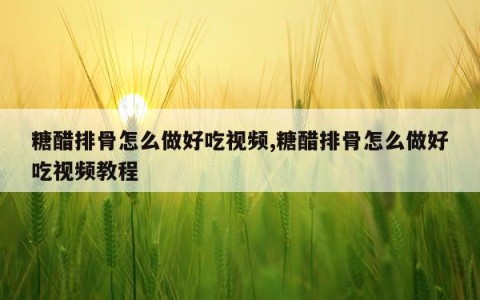 糖醋排骨怎么做好吃视频,糖醋排骨怎么做好吃视频教程