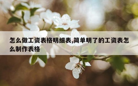 怎么做工资表格明细表,简单明了的工资表怎么制作表格