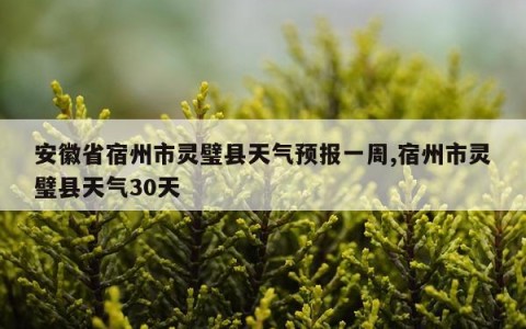 安徽省宿州市灵璧县天气预报一周,宿州市灵璧县天气30天