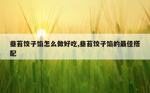 韭苔饺子馅怎么做好吃,韭苔饺子馅的最佳搭配