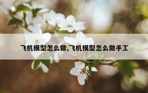 飞机模型怎么做,飞机模型怎么做手工