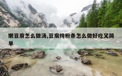 嫩豆腐怎么做汤,豆腐炖粉条怎么做好吃又简单