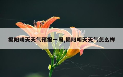 揭阳明天天气预报一周,揭阳明天天气怎么样