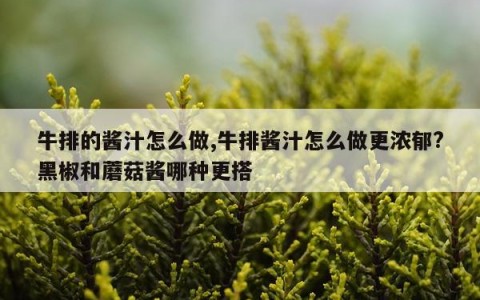 牛排的酱汁怎么做,牛排酱汁怎么做更浓郁?黑椒和蘑菇酱哪种更搭