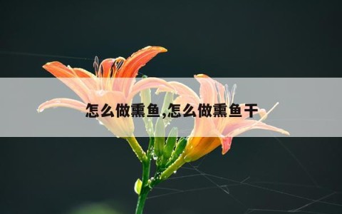 怎么做熏鱼,怎么做熏鱼干