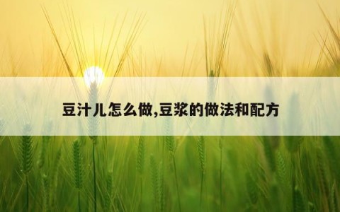 豆汁儿怎么做,豆浆的做法和配方