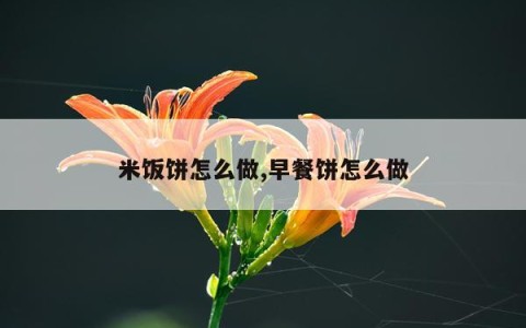 米饭饼怎么做,早餐饼怎么做
