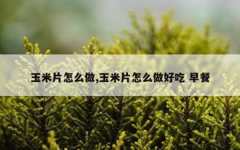 玉米片怎么做,玉米片怎么做好吃 早餐