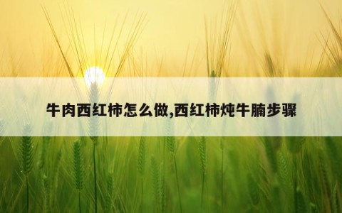 牛肉西红柿怎么做,西红柿炖牛腩步骤
